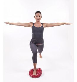 GOFIT CORE DISK 13"